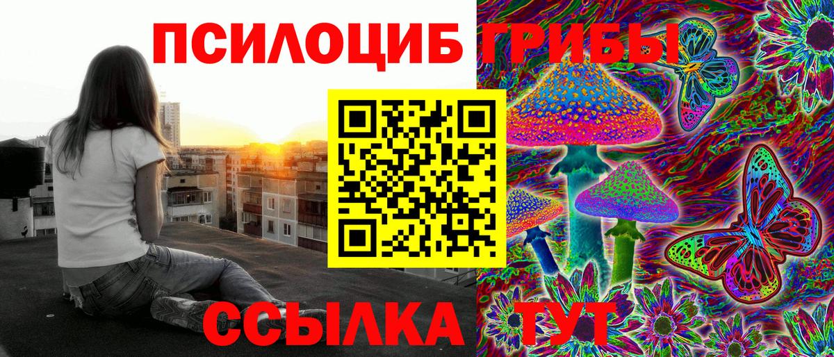 Галлюциногенные грибы Cubensis  цена наркотик  Ивантеевка  Вход с VPN 