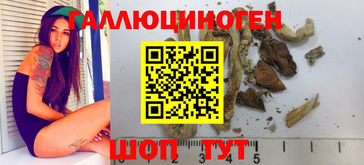 Псилоцибиновые грибы Magic Shrooms Ивантеевка